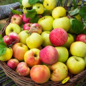 Cubis 3l jus pommes-poires cuvée 2025